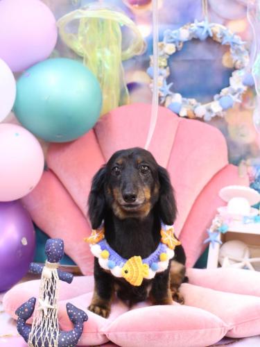 20240807ハルちゃん